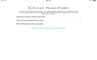 How To Use iCloud Keychain - iPad Air